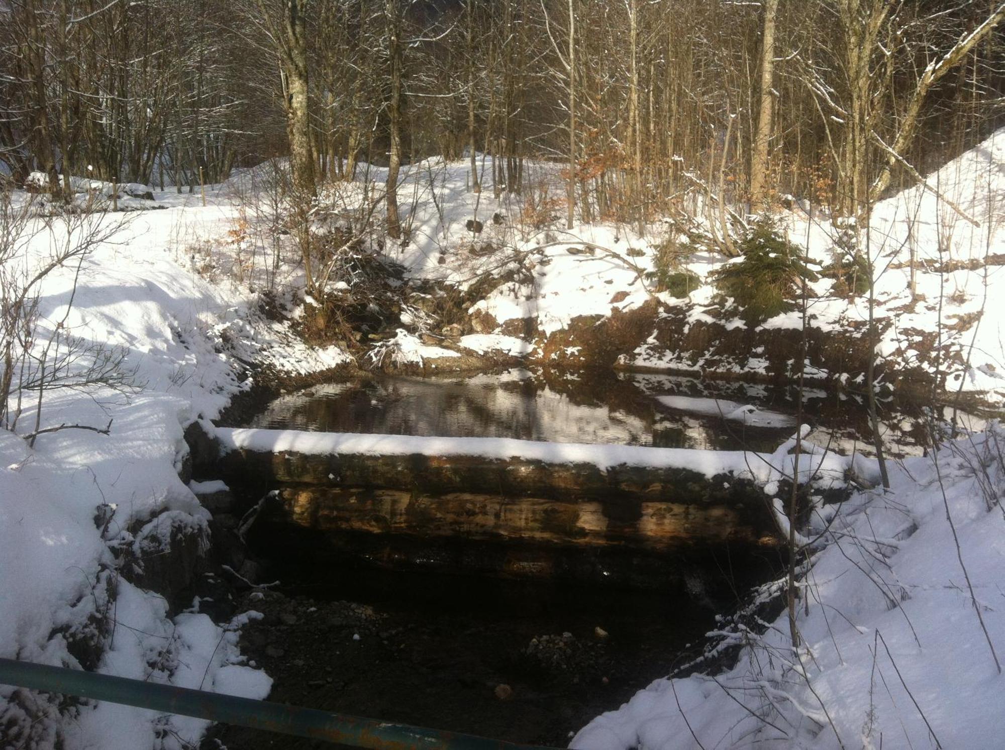 Ferienwohnung Haus Edeltraud Im Suedschwarzwald, Grosse, Helle, Ruhige Souterrain-Whg, Hunde Geeignet, Mit 2 Fahrraedern, 3 Baeckereien Mit Fruehstueck, 2 Lebensmittel-, 1 Italien-Pastalaeden, Kontakt Peter Heubueschl Aus Loerrach Rheinfelden  Buitenkant foto
